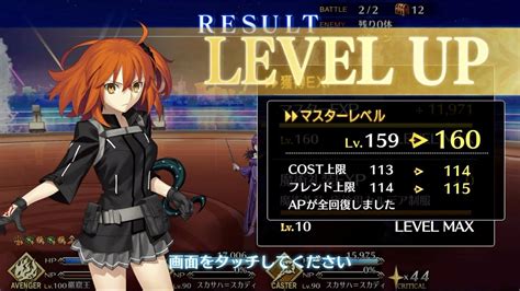 fgo master level